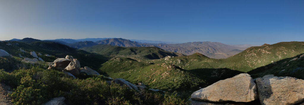 Green view in the desert