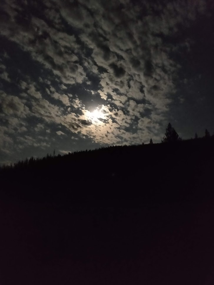 Moonlit sky while camping on the PCT