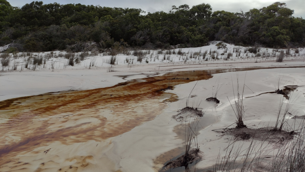 Coloured sands of a riverbed on Fraser Island