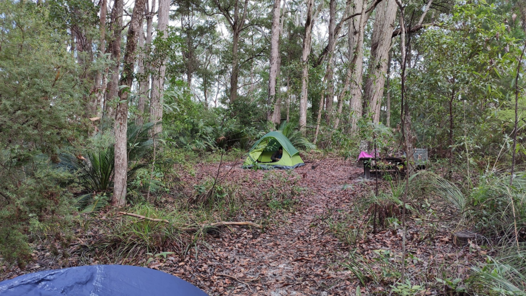 a campsite on Fraser Island