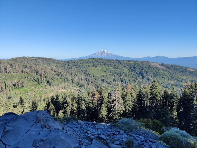 View of Mt Shasta in the distance