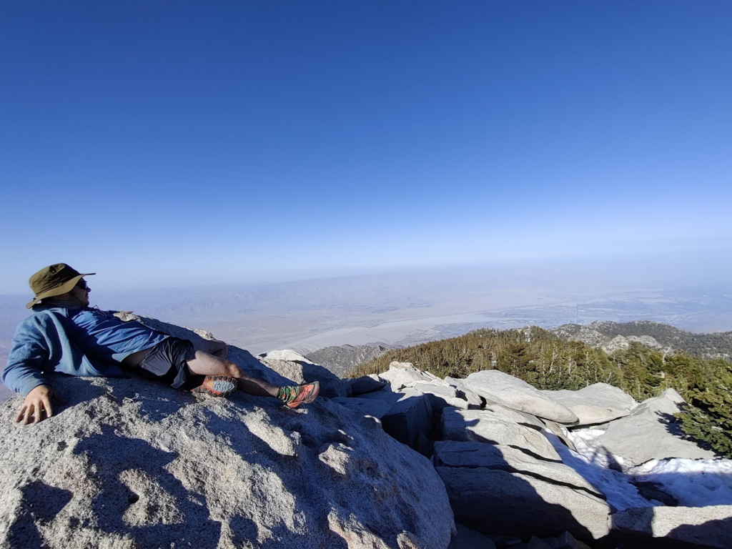 Coyote chilling on San Jacinto Peak