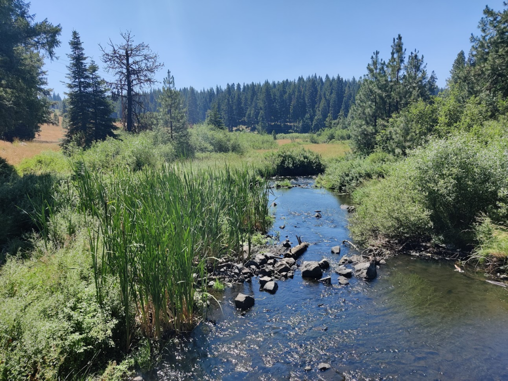 River in Oregon