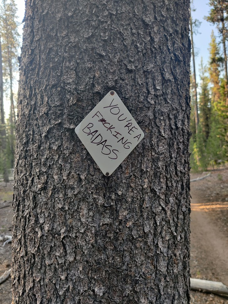 Tree with a metal tag that reads: 'You're a f*cking badass'