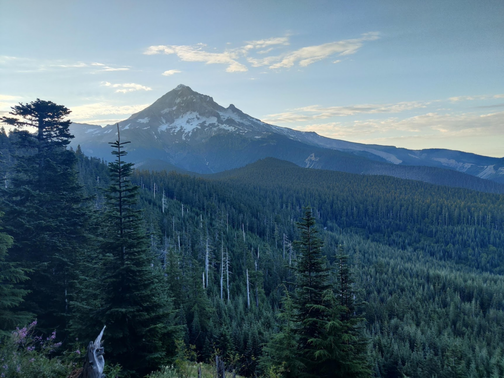 Mt Hood in the morning