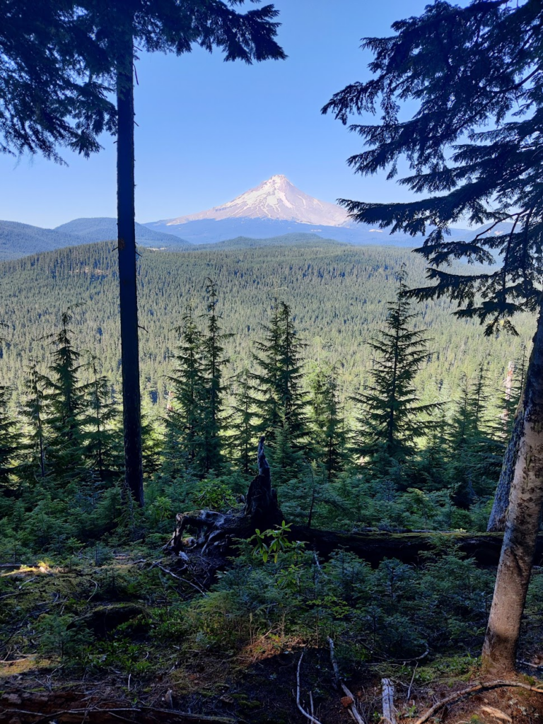 A first glimpse of Mount Hood