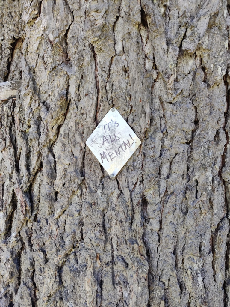 Sign on a tree saying: 'It's all mental!'