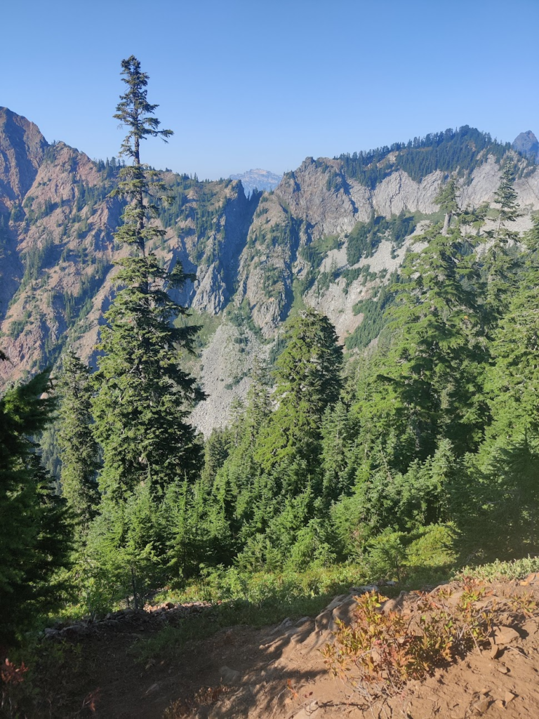 View out of Snoqualmie Pass