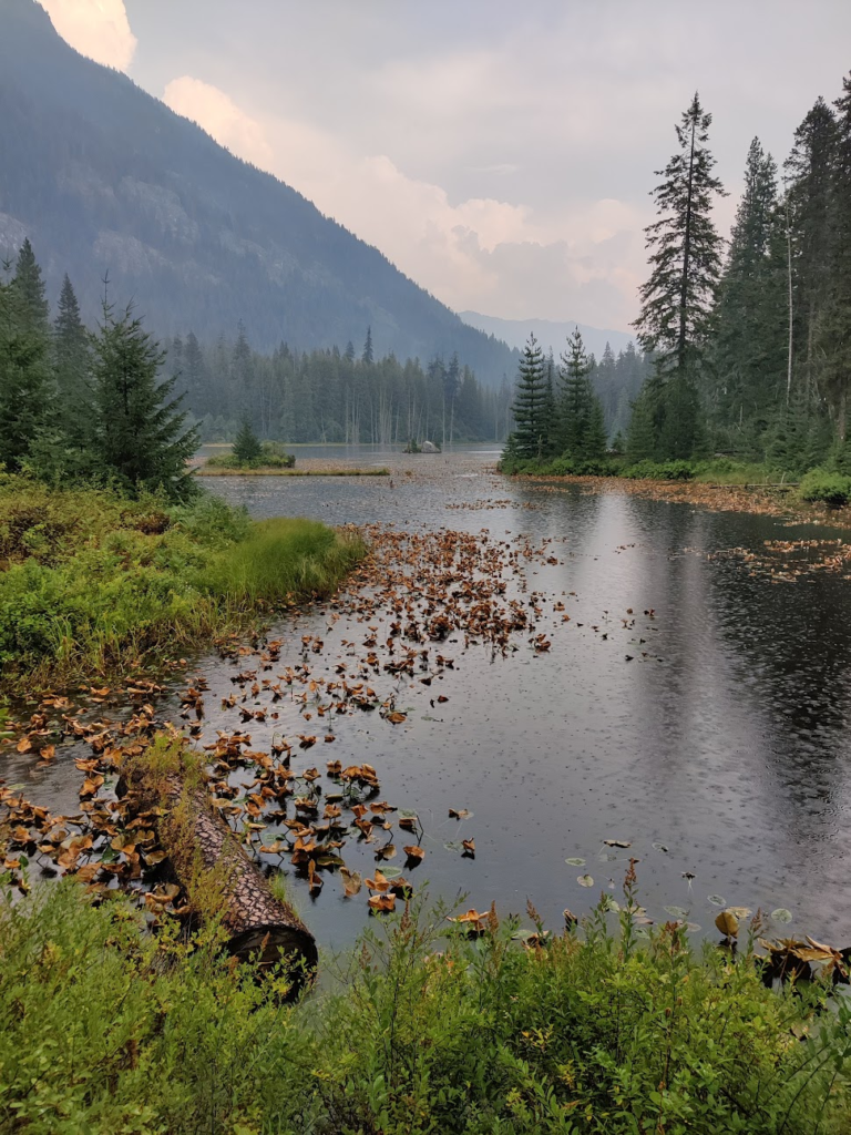 Rain on a lake near the end of the hike