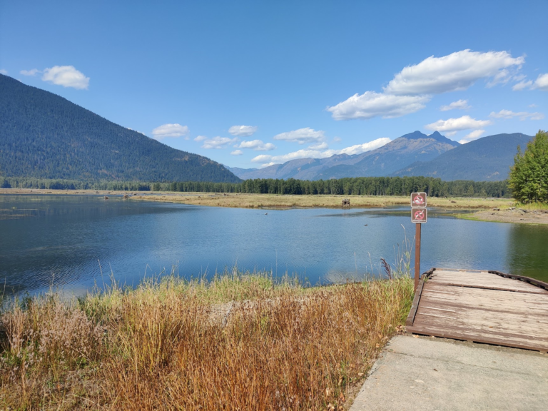 View over the Canadian border on Ross Lake