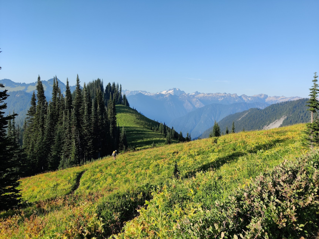 Half and Half in the North Cascades